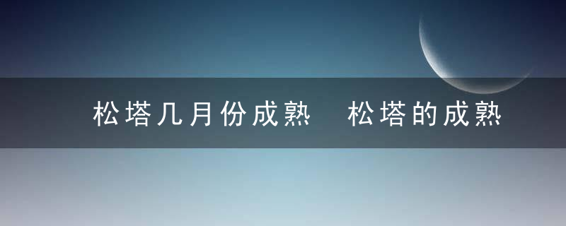 松塔几月份成熟 松塔的成熟时间一般是几月